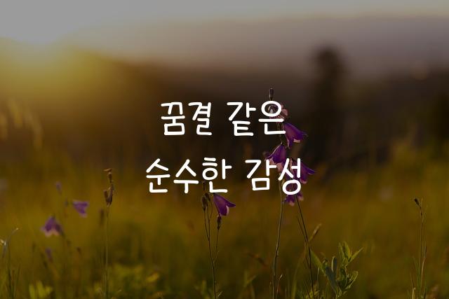 교보손글씨 2019