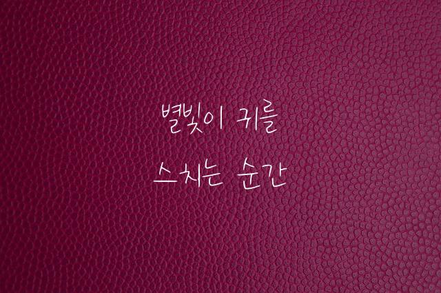 규리의 일기