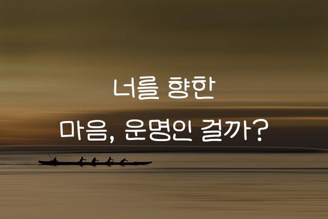 이서윤체