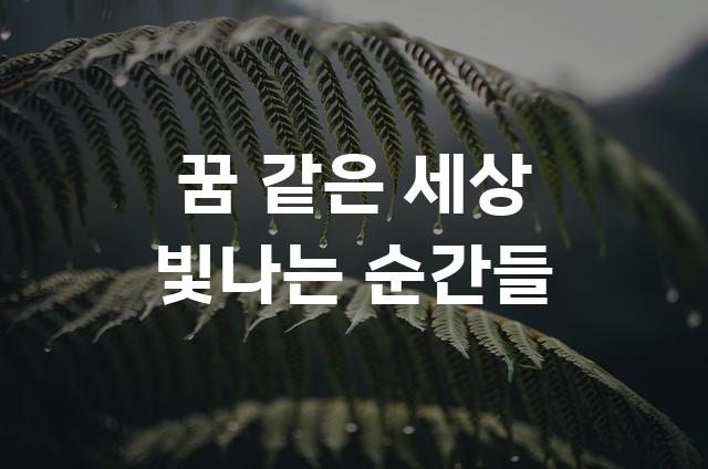레페리포인트 Oblique