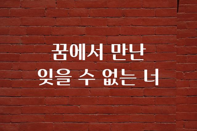 레페리포인트 Special