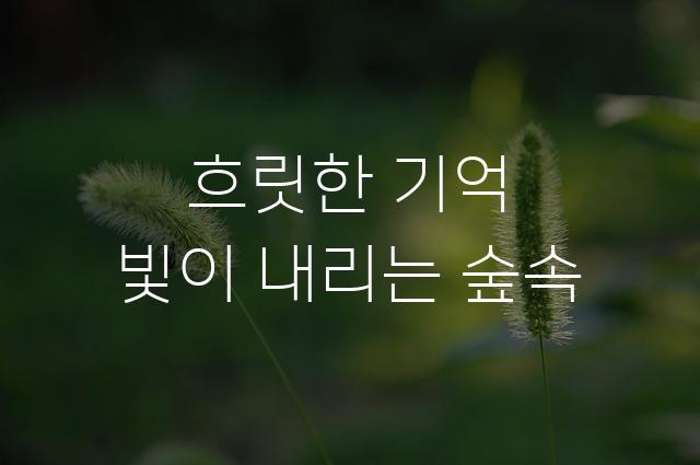 레페리포인트 Oblique