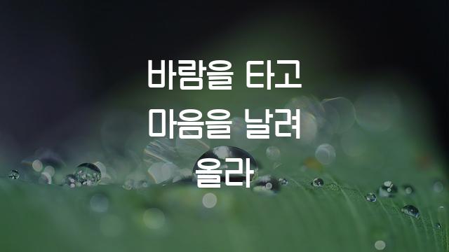 로커스상상고딕