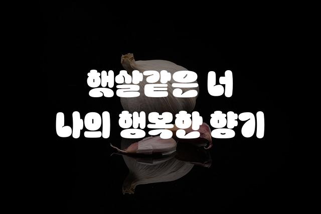 롯데리아 촵땡겨체