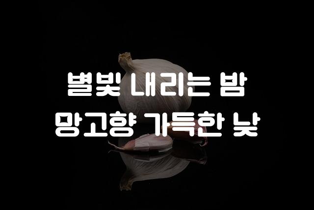 망고보드 별별체