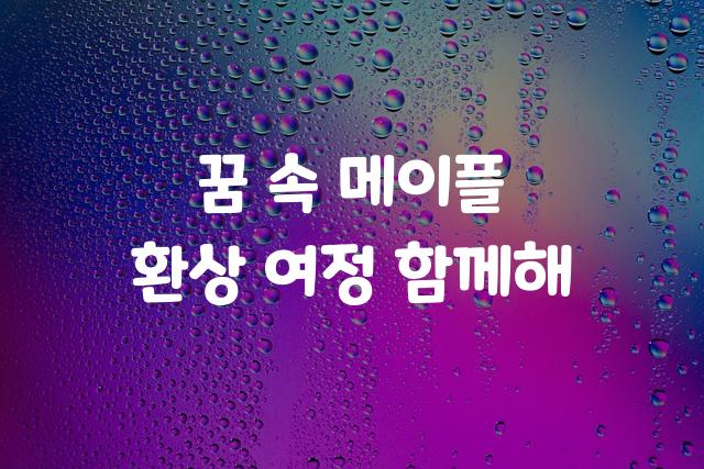 넥슨 메이플스토리