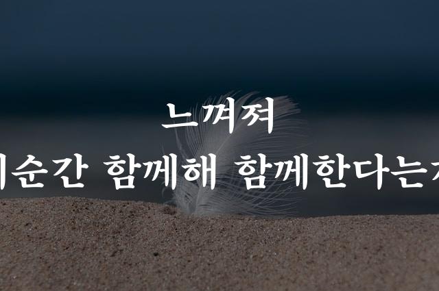 마포애민