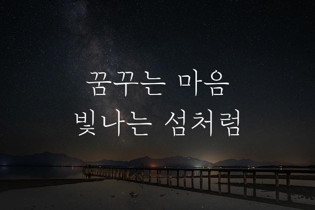 마포꽃섬