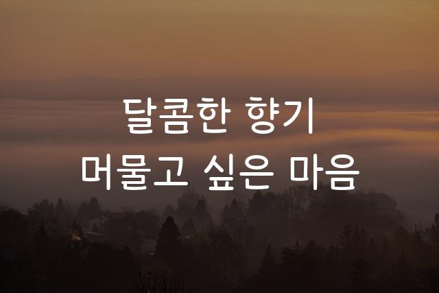 마포한아름