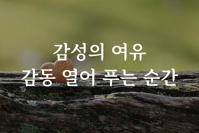 마루 부리
