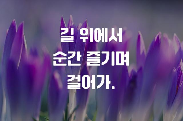 MBC1961굴림