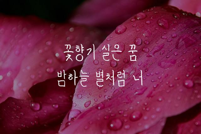 밍기적체