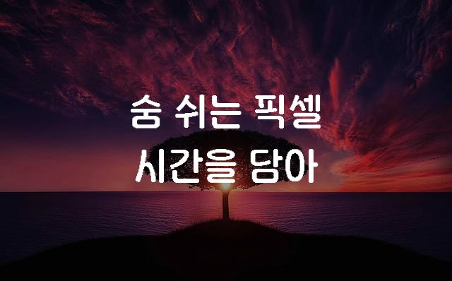 머니그라피-픽셀