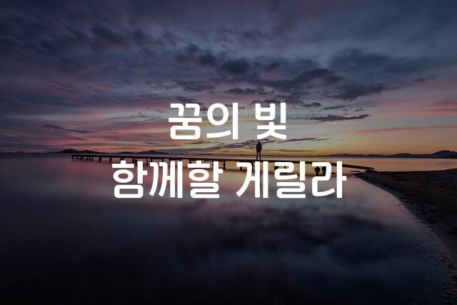 머니그라피-라운디드