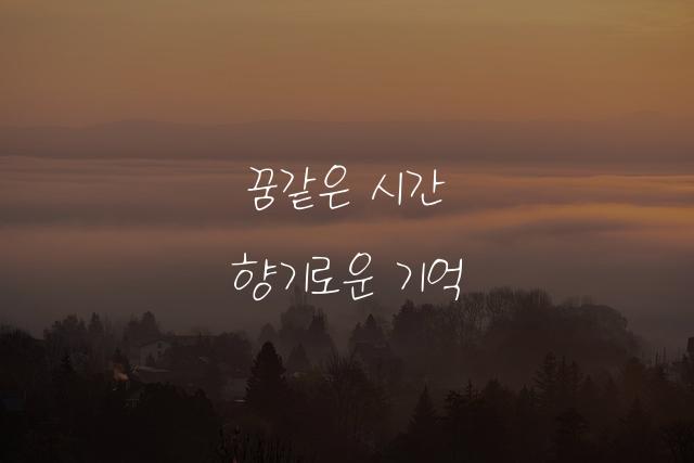 몽돌
