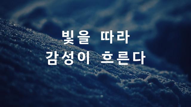 모노플렉스KR