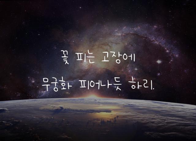 무궁화