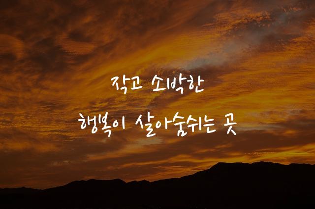 나눔손글씨펜