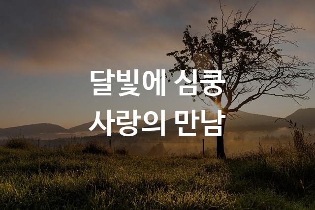나눔바른고딕