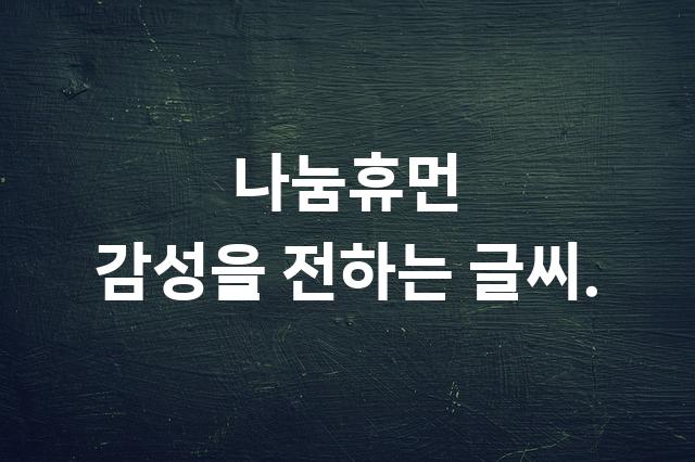 나눔휴먼