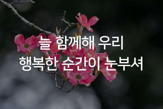 나눔스퀘어 AC