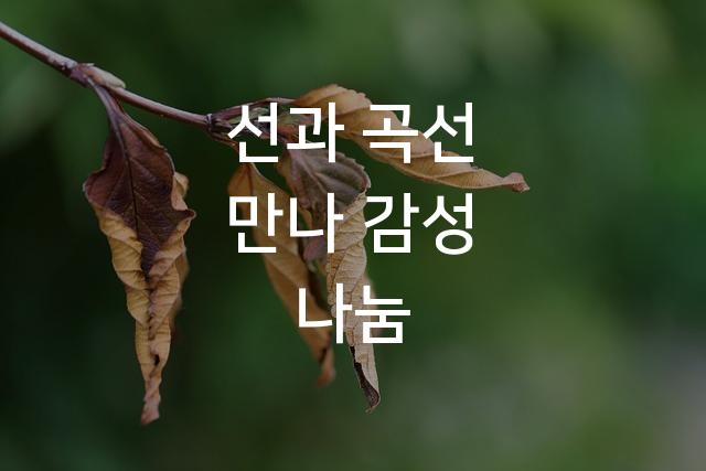나눔스퀘어