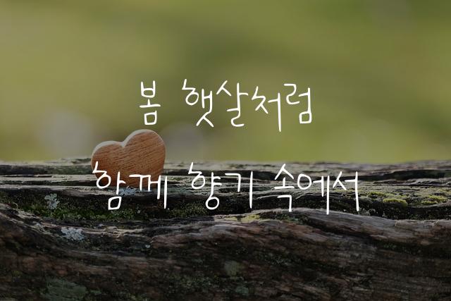 신혼부부