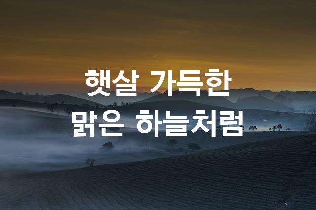 넥슨 Lv.1 고딕