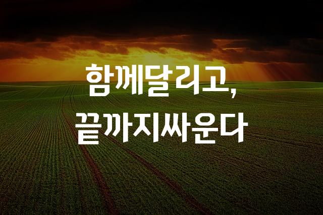 넥슨 풋볼고딕