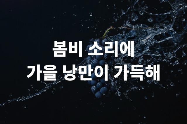 본고딕 (Noto Sans)