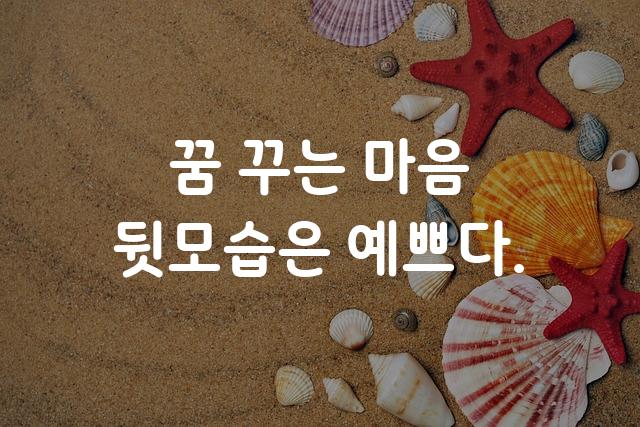국민연금체