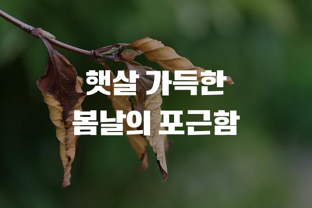 오방주체