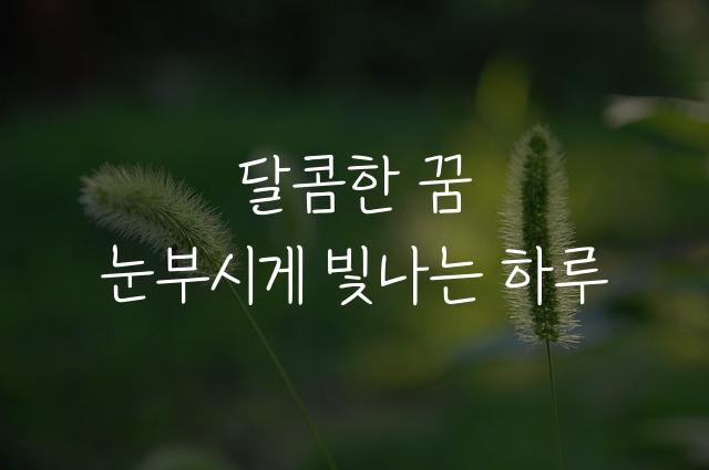 오방노포체
