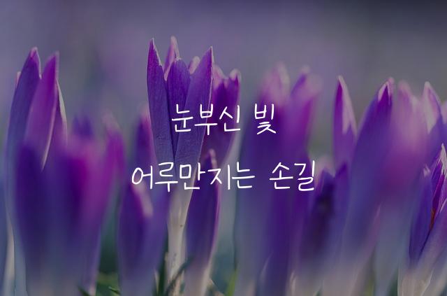 옥비체