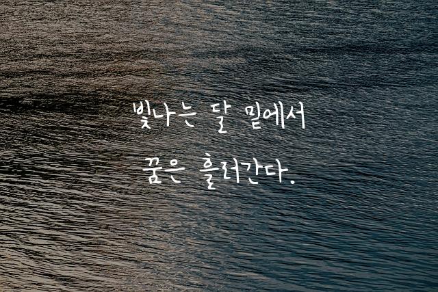 달의궤도