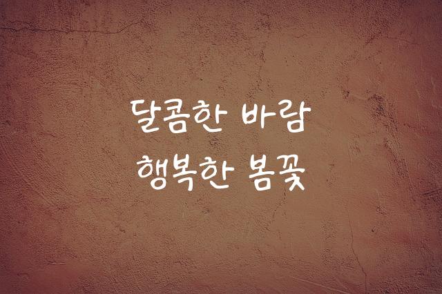 온글잎 빈수체