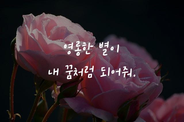 온글잎 영롱