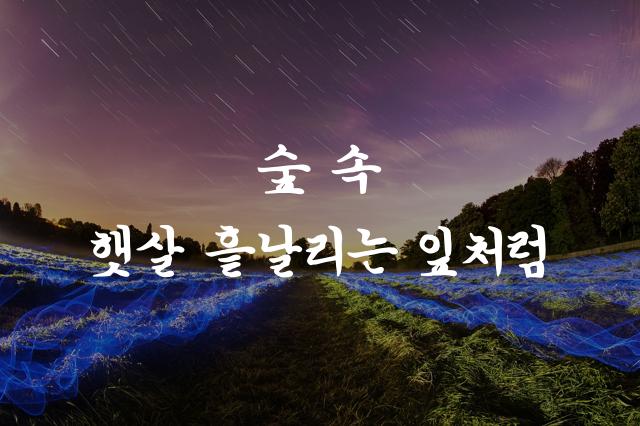 온글잎 재건사