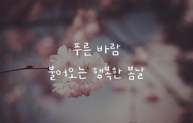 온글잎 류류체