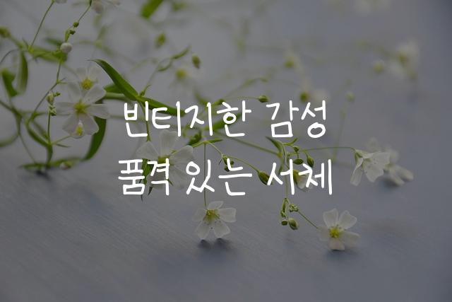 온글잎 승훈체