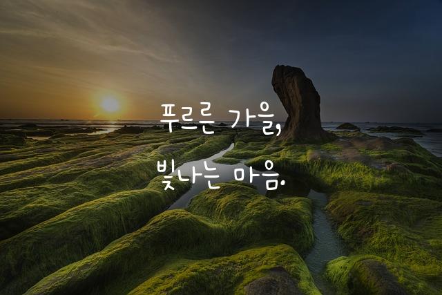 온글잎 때롬체