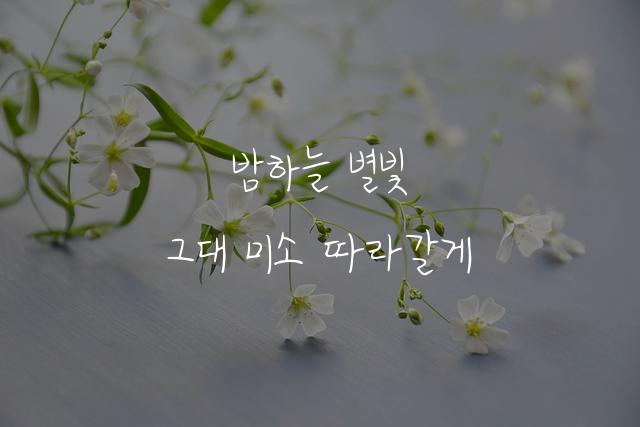 진주 박경아체