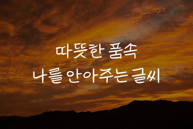 박용준투사회보체