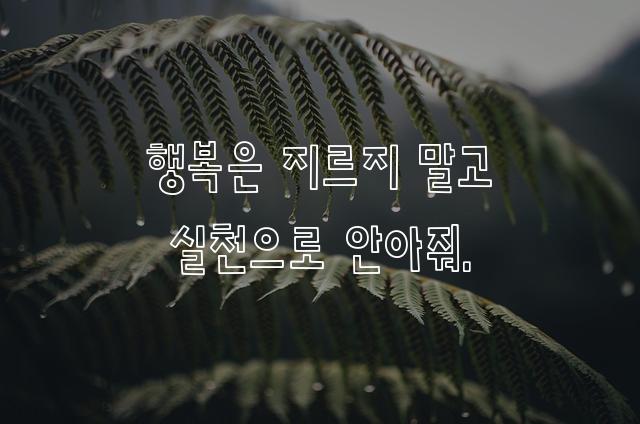 피플퍼스트투쟁체