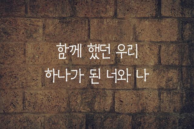 피플퍼스트자립체