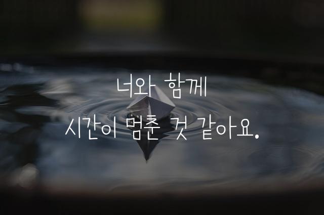 피플퍼스트또박체