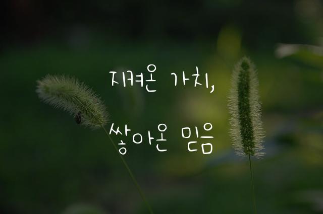 자부심지우