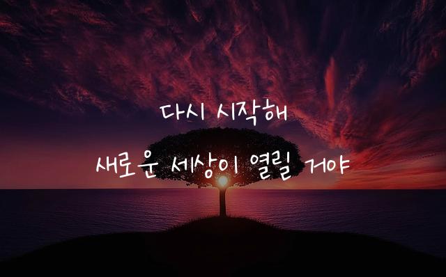 다시 시작해