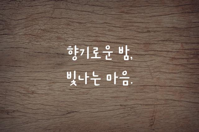상주다정다감체