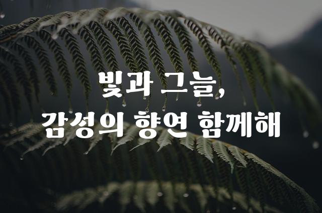 상주경천섬체